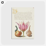 1-39_Joris-Hoefnagel_postcard
