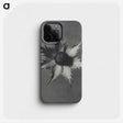 1-39_Karl-Blossfeldt_phone