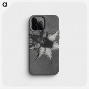 1-39_Karl-Blossfeldt_phone