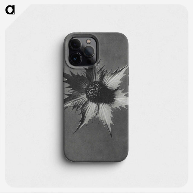 1-39_Karl-Blossfeldt_phone