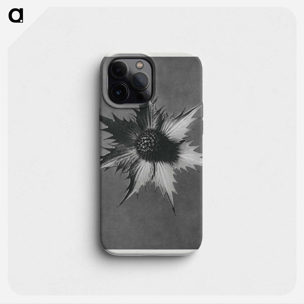 Eryngium Giganteum (Miss Willmott's Ghost) - Karl Blossfeldt Phone Case.