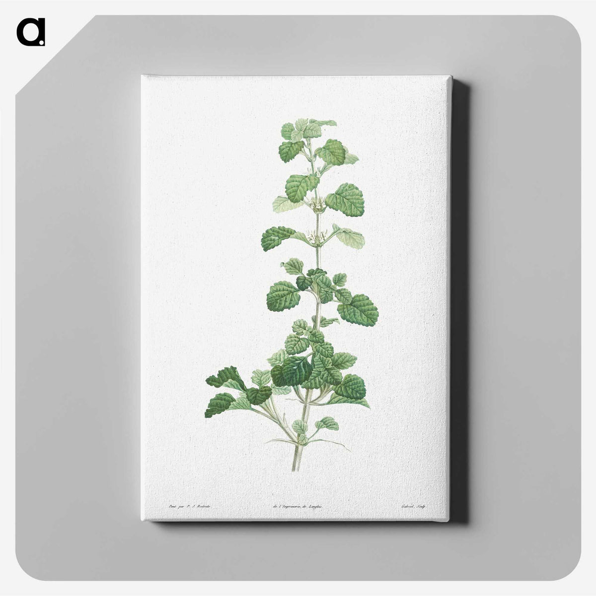 1-39_La-Botanique_canvas