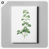 1-39_La-Botanique_canvas