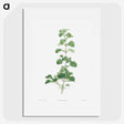 1-39_La-Botanique_picture