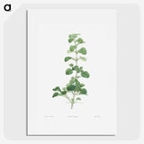 1-39_La-Botanique_picture