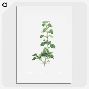 1-39_La-Botanique_picture