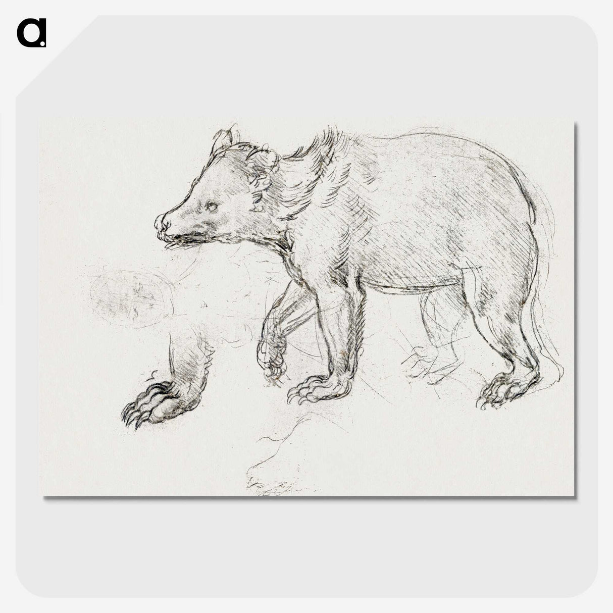 1-39_Leonardo-Da-Vinci_picture-crop