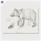 1-39_Leonardo-Da-Vinci_picture-crop