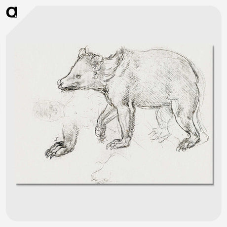 1-39_Leonardo-Da-Vinci_picture-crop