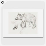 1-39_Leonardo-Da-Vinci_picture