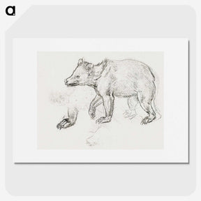 1-39_Leonardo-Da-Vinci_picture