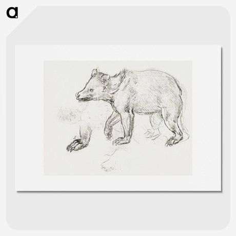1-39_Leonardo-Da-Vinci_picture