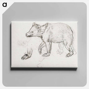 アートパネル-A Bear Walking - レオナルド ダ ヴィンチ Canvas.