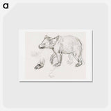 A Bear Walking - レオナルド ダ ヴィンチ Postcard.