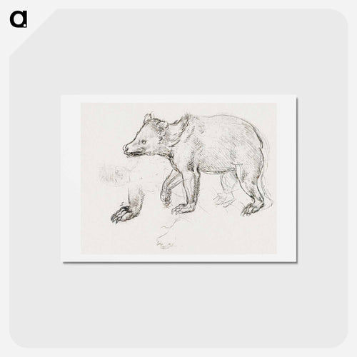 A Bear Walking - レオナルド ダ ヴィンチ Postcard.