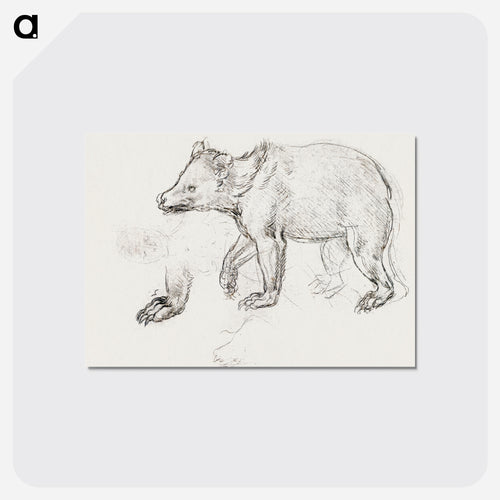 A Bear Walking - レオナルド ダ ヴィンチ Postcard.