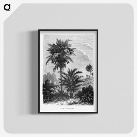 1-39_Les-Palmiers-Histoire-Iconographique_blk-crop