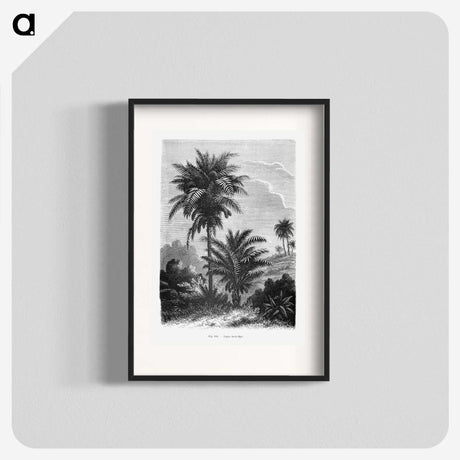 1-39_Les-Palmiers-Histoire-Iconographique_blk