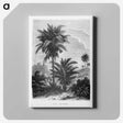 1-39_Les-Palmiers-Histoire-Iconographique_canvas