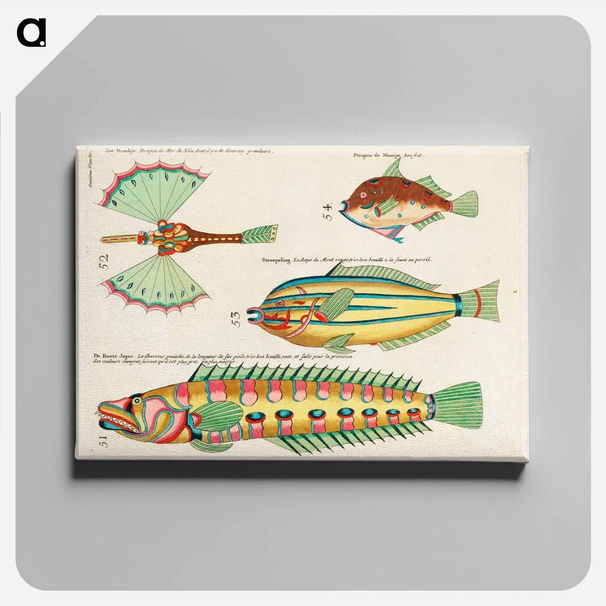 アートパネル-Moluccan Fishes
 - ルイ ルナール Canvas.