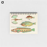 Moluccan Fishes
 - ルイ ルナール Memo.