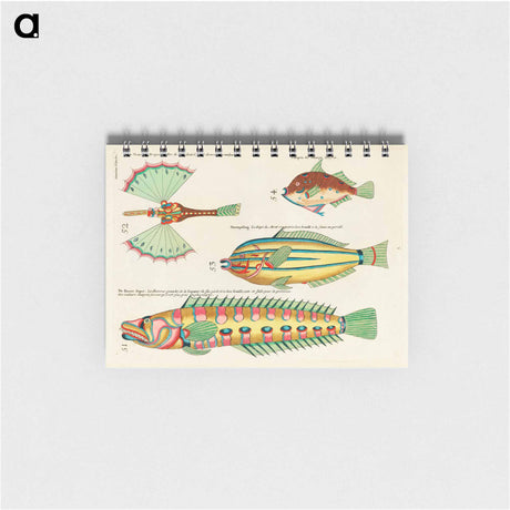 アートメモ帳-Moluccan Fishes
 - ルイ ルナール Memo.