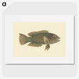 1-39_Luigi-Balugani_picture