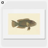 1-39_Luigi-Balugani_picture