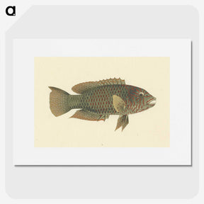 1-39_Luigi-Balugani_picture