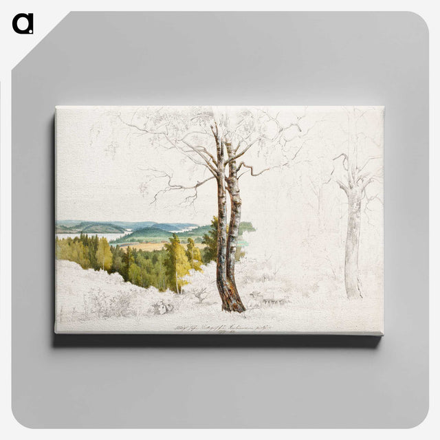 1-39_Magnus-von-Wright_canvas