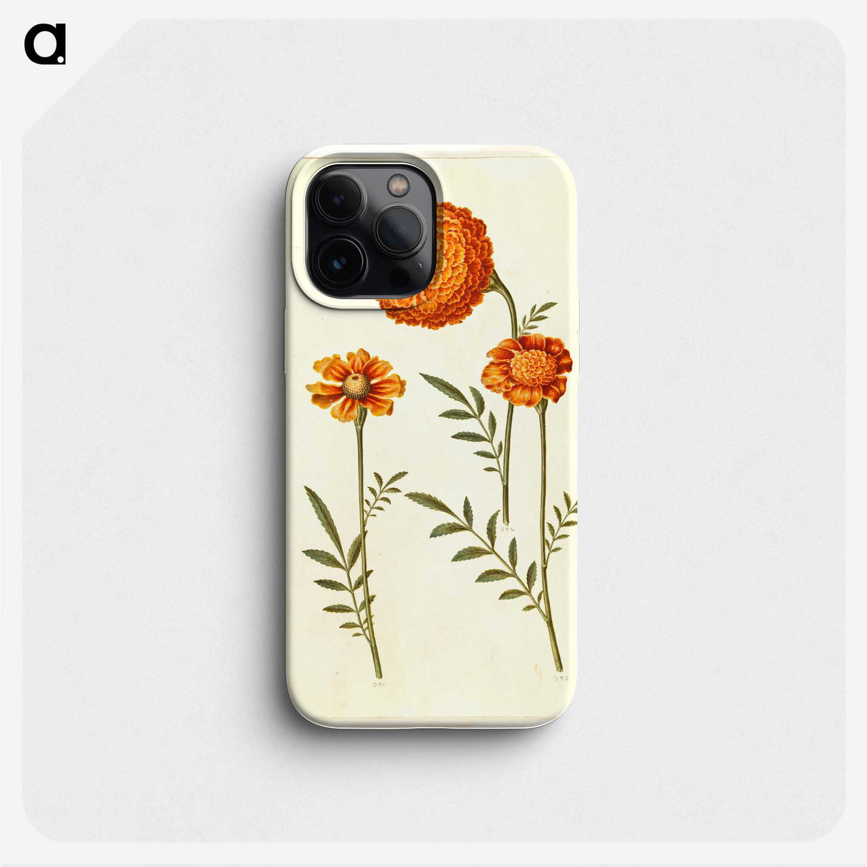 1-39_Maria-Sibylla-Merian_phone