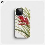 1-39_Mary-Vaux-Walcott_phone