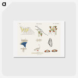 1-39_Monuments-of-Egypt-and-Nubia_hagaki