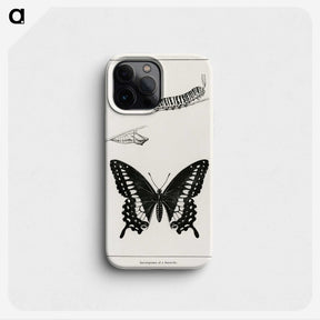 1-39_Moths-and-Butterflies-of-the-United-States_phone