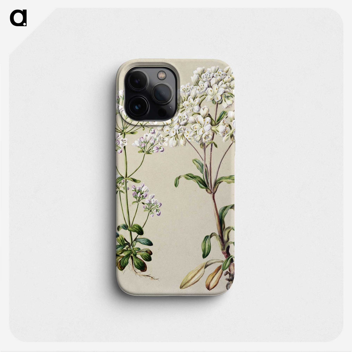 1-39_Native-Flowering-Plants-of-New-Zealand_phone