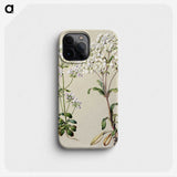 1-39_Native-Flowering-Plants-of-New-Zealand_phone