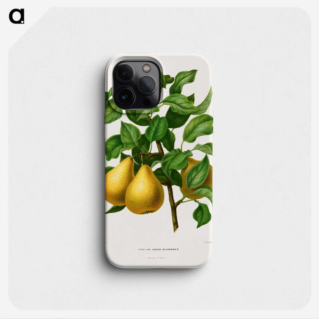 1-39_Nederlandsche-Flora-en-Pomona_phone