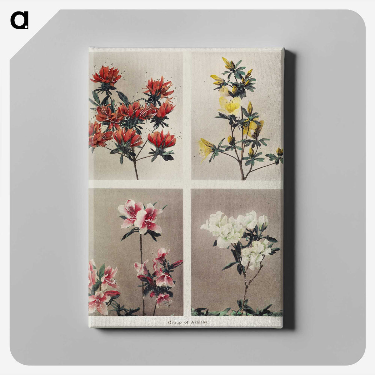 1-39_Ogawa-Kazumasa_canvas