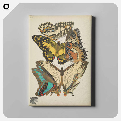アートパネル-Vintage Butterflies
 - パピヨン Canvas.