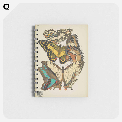 Vintage Butterflies
 - パピヨン Memo.