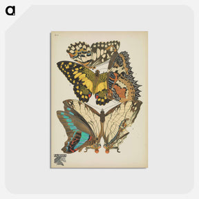 アートポストカード-Vintage Butterflies
 - パピヨン Postcard.