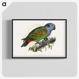 1-39_Parrots-in-Captivity_blk-crop