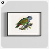 1-39_Parrots-in-Captivity_blk