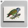1-39_Parrots-in-Captivity_canvas