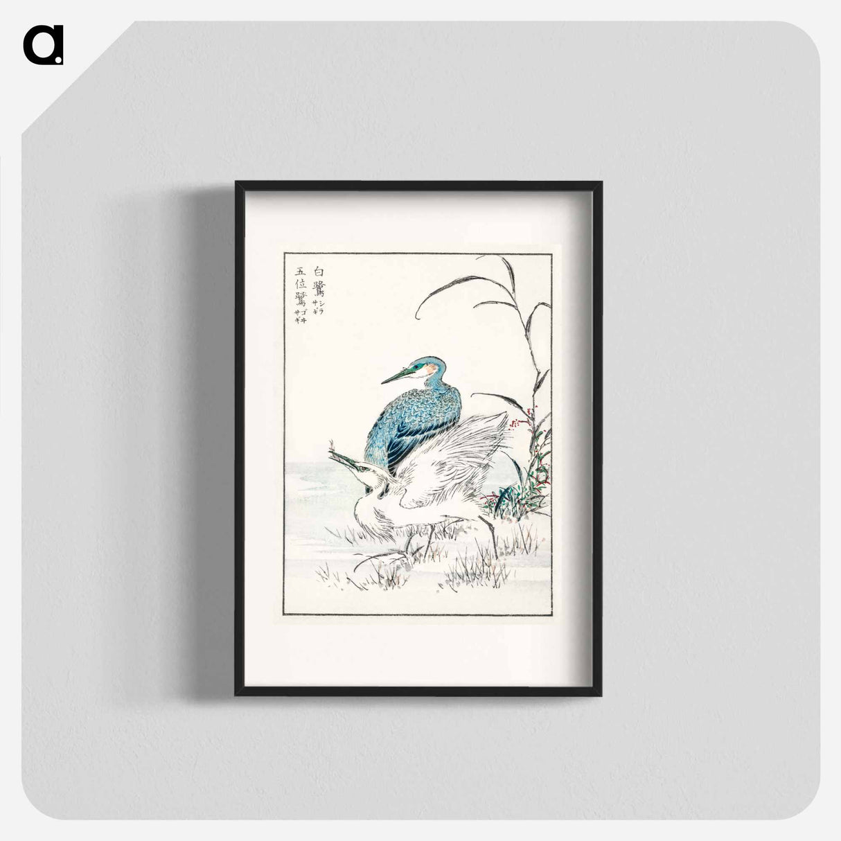 アートポスター-Night Heron and Little Egret
 - 鳥類図鑑 Poster.