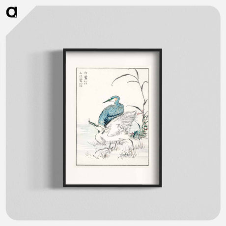 アートポスター-Night Heron and Little Egret
 - 鳥類図鑑 Poster.