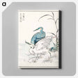 アートパネル-Night Heron and Little Egret
 - 鳥類図鑑 Canvas.