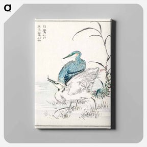 アートパネル-Night Heron and Little Egret
 - 鳥類図鑑 Canvas.