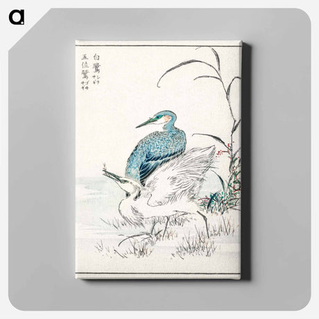 アートパネル-Night Heron and Little Egret
 - 鳥類図鑑 Canvas.