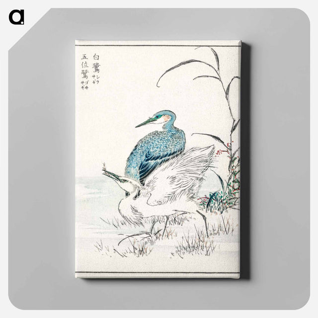 アートパネル-Night Heron and Little Egret
 - 鳥類図鑑 Canvas.